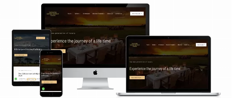 Best Tanzania Safari Website Designer in Arusha