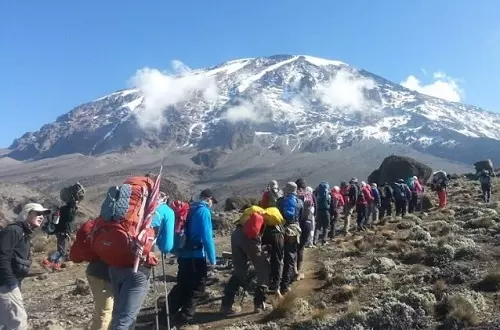 5 days Kilimanjaro climb Marangu route