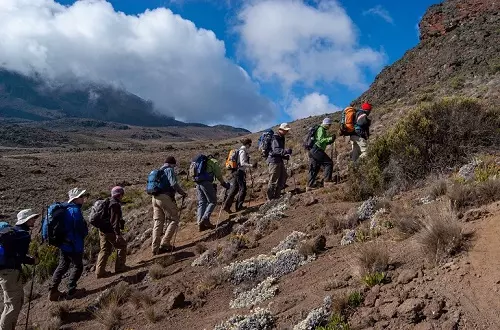 Kilimanjaro climbing