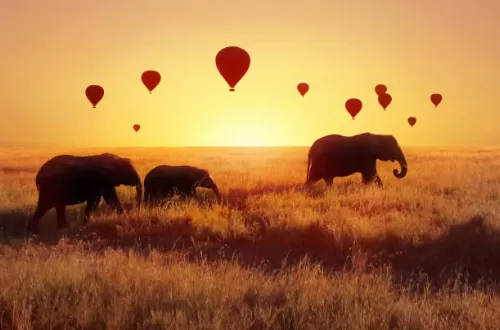 Hot Air Balloon Safari in Serengeti